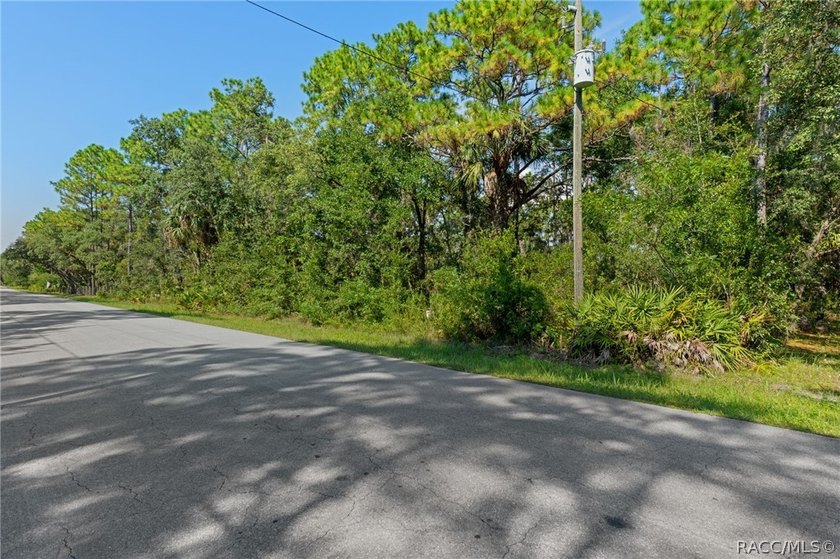 Rare opportunity to own a 1.24-acre homesite in the established - photo 8
