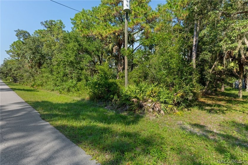 Rare opportunity to own a 1.24-acre homesite in the established - photo 10
