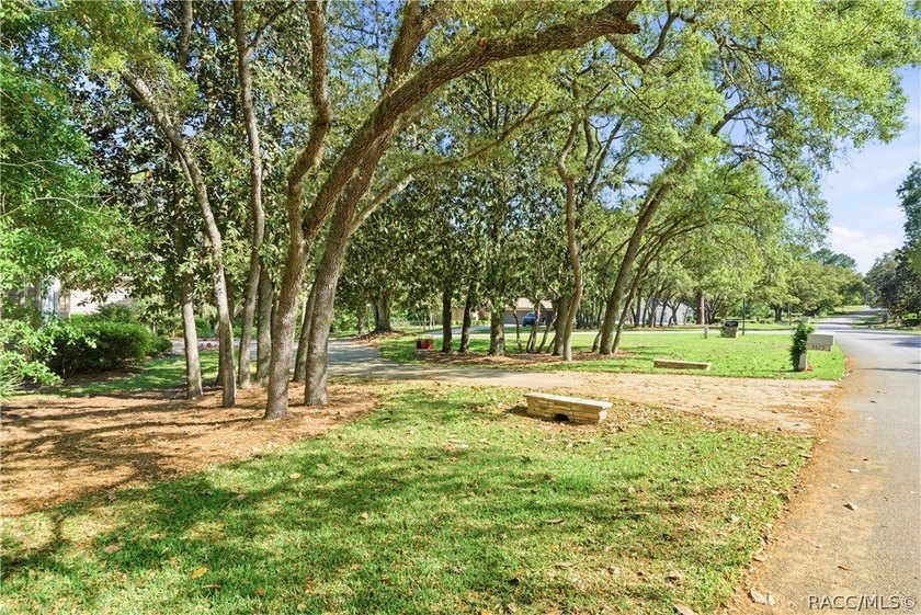Opportunity awaits with the layout of this home. The main living - photo 4