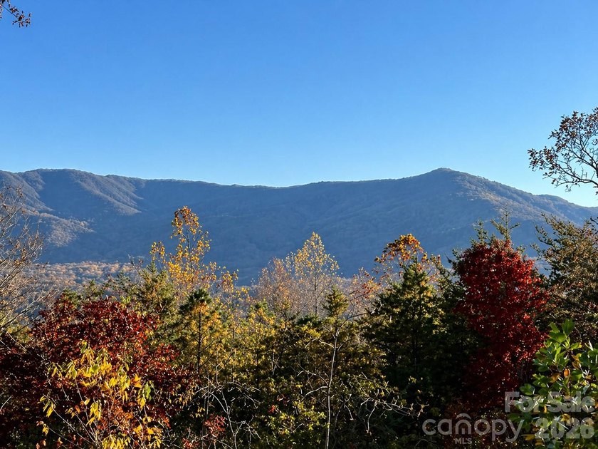 [Video Tour Available on Zillow under 'Facts &amp; Features' - 'Show - photo 37
