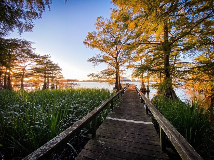 This 2 bedroom, 1 bath camp is located across from Lake Bruin - photo 3