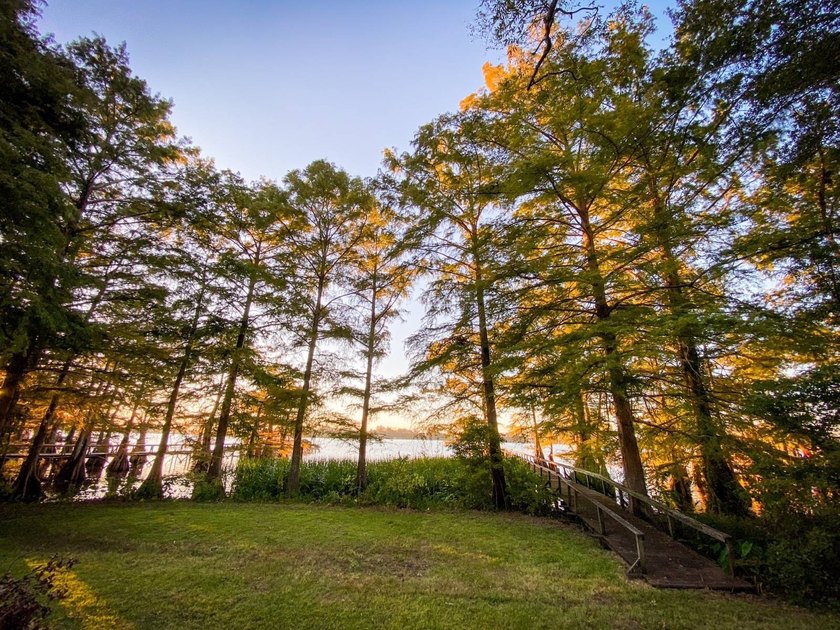 This 2 bedroom, 1 bath camp is located across from Lake Bruin - photo 4