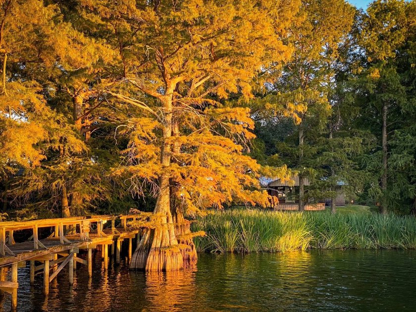 This 2 bedroom, 1 bath camp is located across from Lake Bruin - photo 7