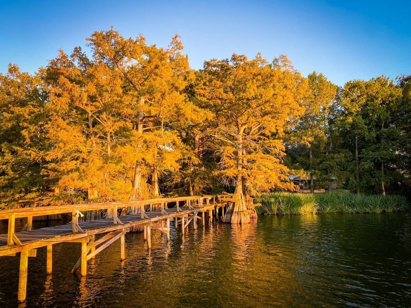 This 2 bedroom, 1 bath camp is located across from Lake Bruin - photo 8