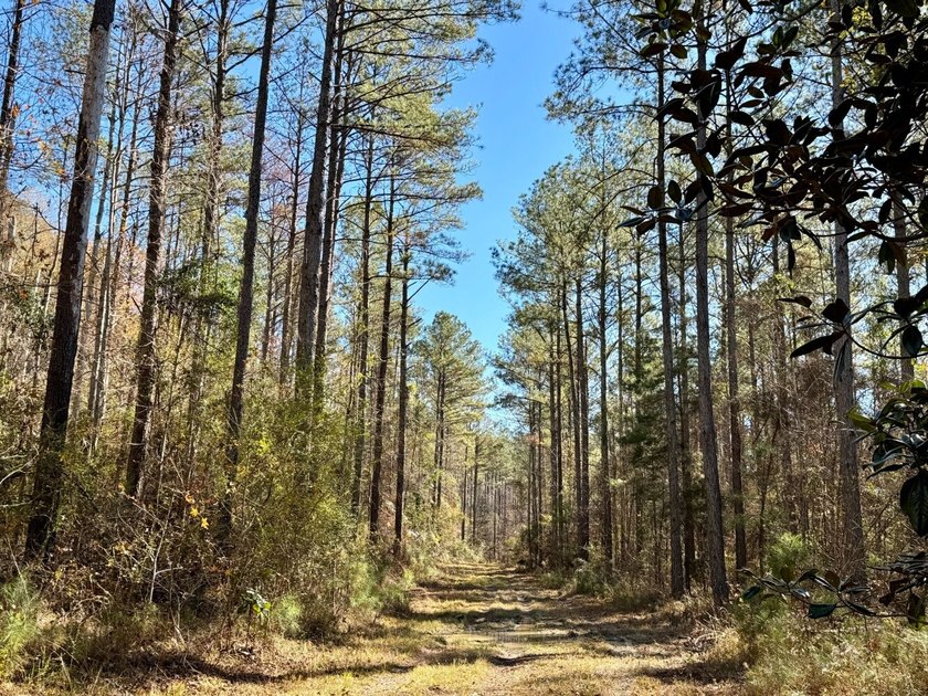 This rare find in Tunnel Springs has a lot to offer. Enjoy - photo 3