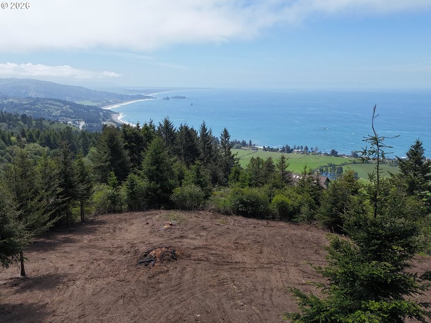 Exceptional opportunity to own 1.38 acres in Brookings, perched - photo 15