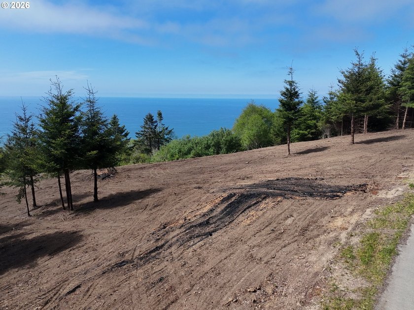 Exceptional opportunity to own 1.38 acres in Brookings, perched - photo 18