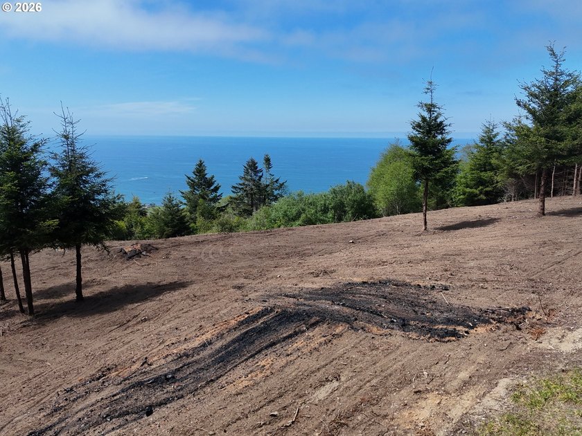 Exceptional opportunity to own 1.38 acres in Brookings, perched - photo 19
