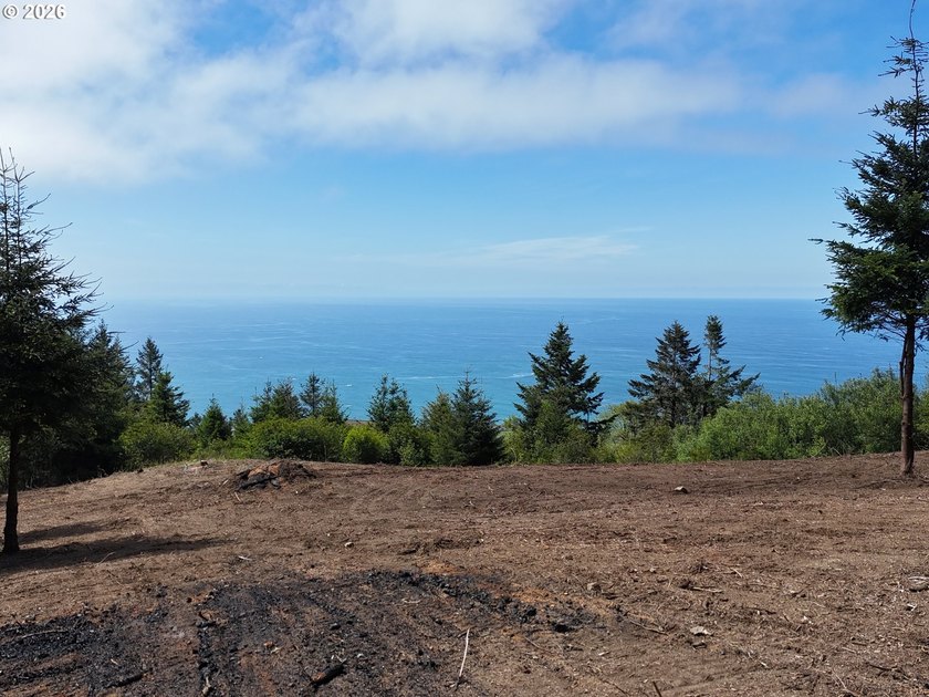 Exceptional opportunity to own 1.38 acres in Brookings, perched - photo 21