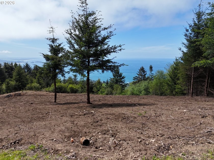 Exceptional opportunity to own 1.38 acres in Brookings, perched - photo 22