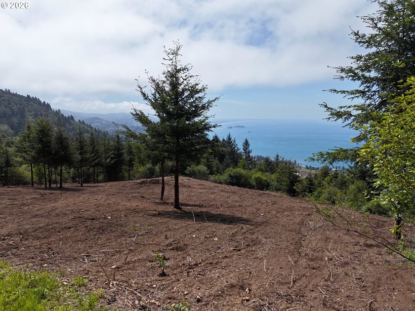 Exceptional opportunity to own 1.38 acres in Brookings, perched - photo 23