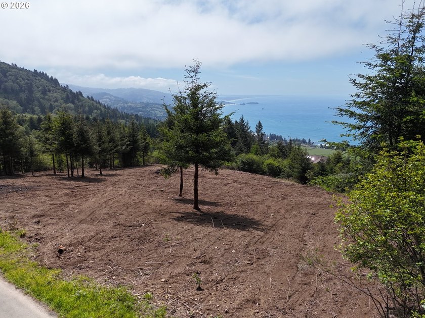 Exceptional opportunity to own 1.38 acres in Brookings, perched - photo 25