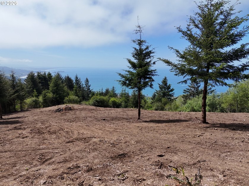 Exceptional opportunity to own 1.38 acres in Brookings, perched - photo 27