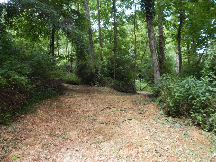 3 Bedroom, 2 Bath manufactured home on 63 acres +/-, just off Rt - photo 44