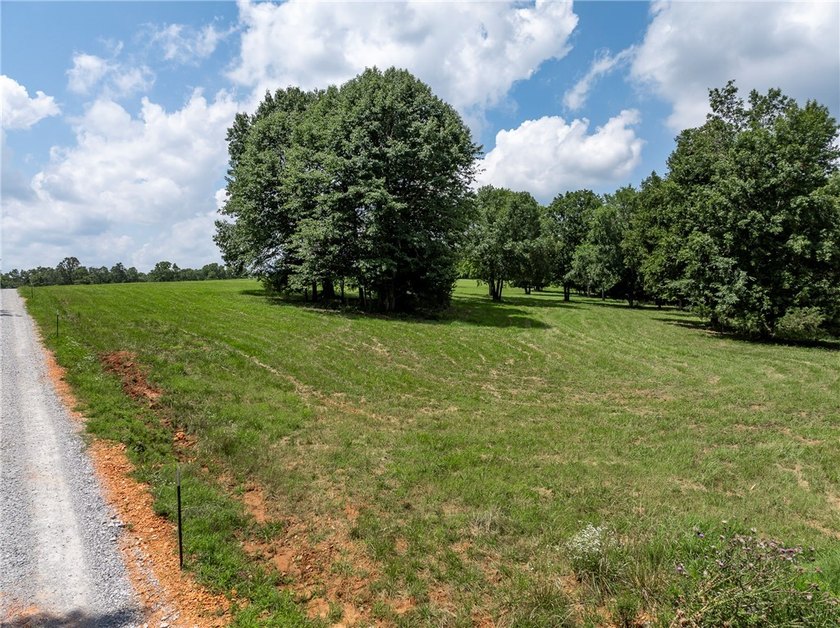 If you have been looking for land with character instead of - photo 2