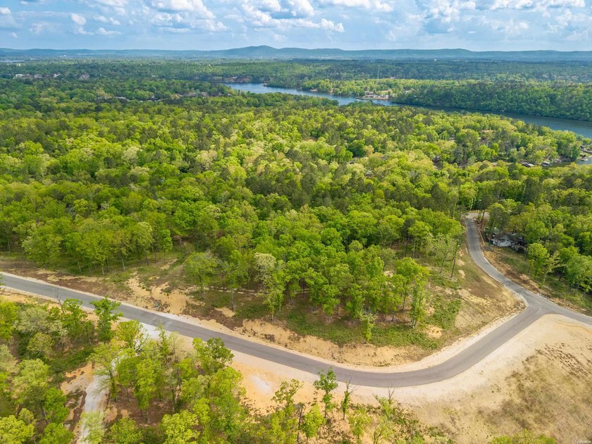 Exceptional 6 acre homesite in Rocky Point Estates, a new - photo 17
