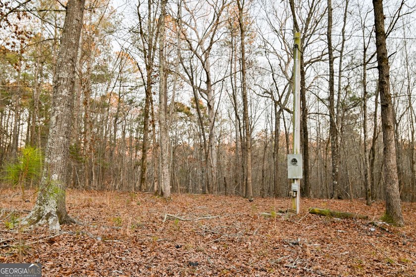 Not everyone is searching for a cookie cutter home. Some, like - photo 28