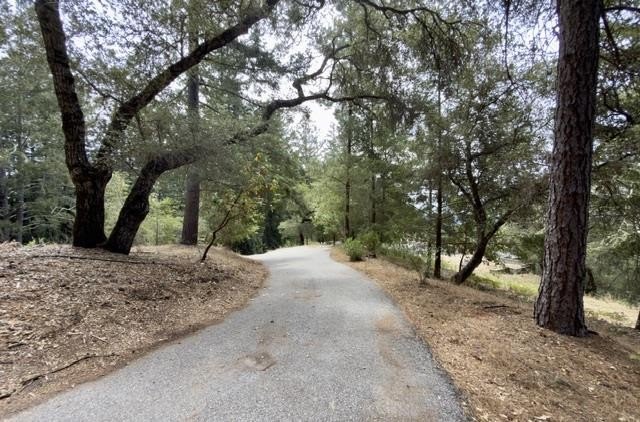 Close to build-ready 5.9 acres with ocean views! Skip the long - photo 5