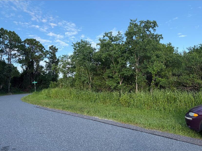 WAITING FOR YOUR PERSONAL VISION, THIS CORNER LOT IS GREAT FOR - photo 4
