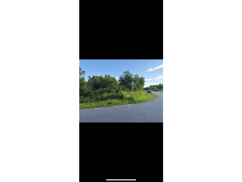 WAITING FOR YOUR PERSONAL VISION, THIS CORNER LOT IS GREAT FOR - photo 6