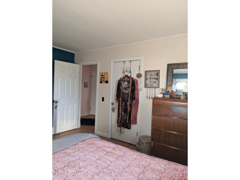 Bright and airy 3 bedroom home in desirable Ellsworth. Close to - photo 4