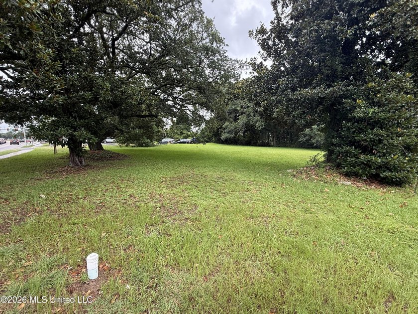 Looking for the perfect spot to launch or expand your business? - photo 2
