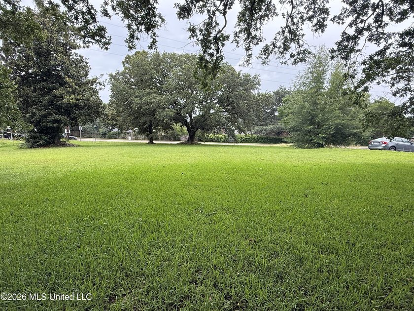 Looking for the perfect spot to launch or expand your business? - photo 3