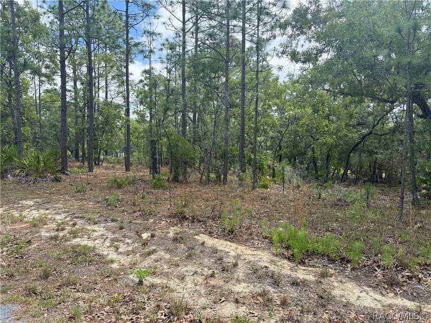This vacant home site in Sugarmill Woods Cypress Village offers - photo 2