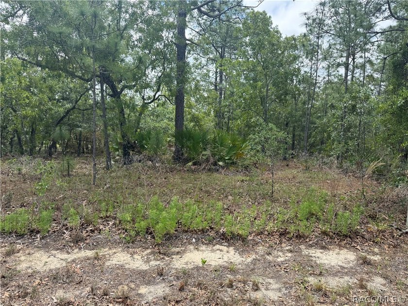 This vacant home site in Sugarmill Woods Cypress Village offers - photo 4