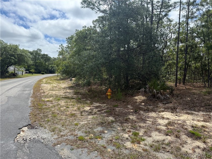 This vacant home site in Sugarmill Woods Cypress Village offers - photo 5