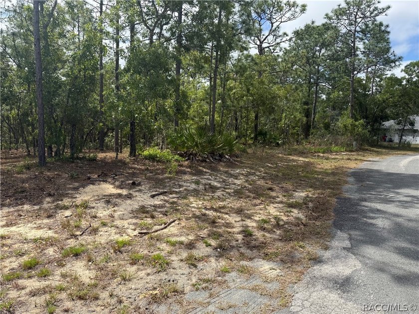 This vacant home site in Sugarmill Woods Cypress Village offers - photo 6