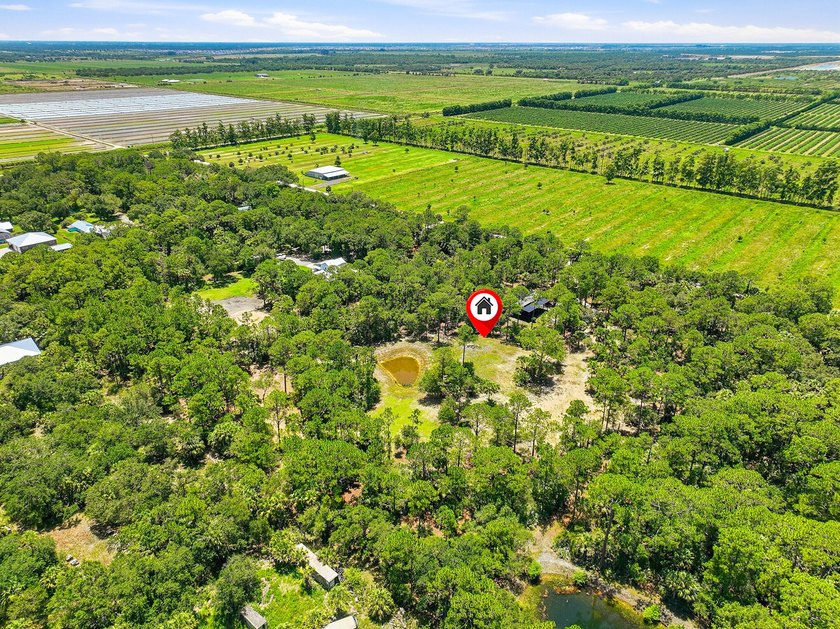 Build your dream oasis on this private, gated 6+ acre heavily - photo 3
