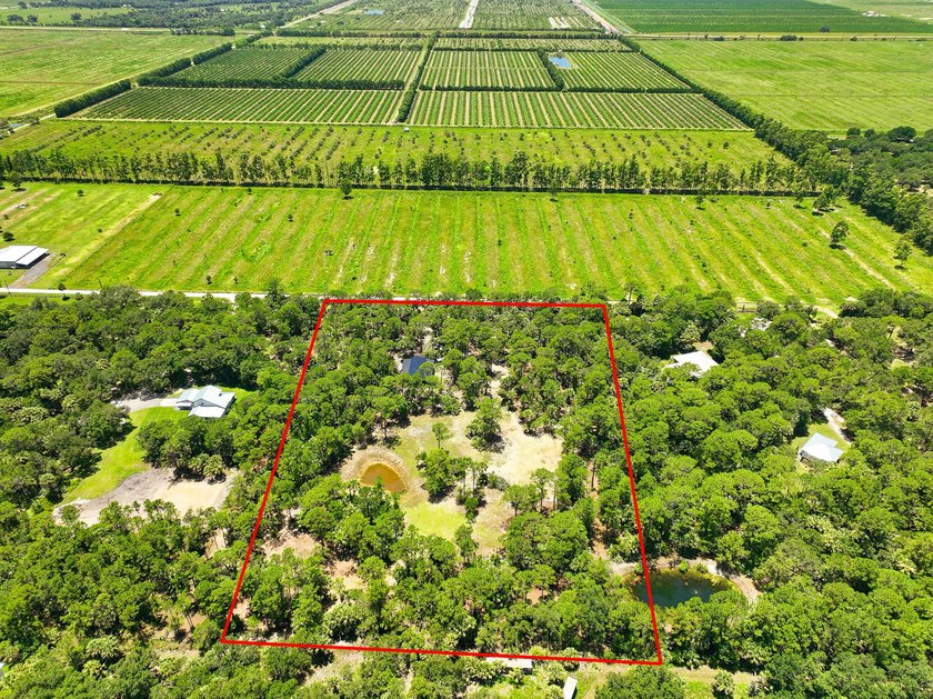 Build your dream oasis on this private, gated 6+ acre heavily - photo 7