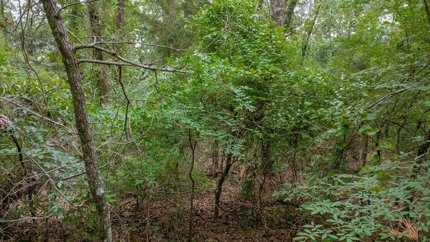 Tucked away on a quiet street in the gated community of Hideaway - photo 9