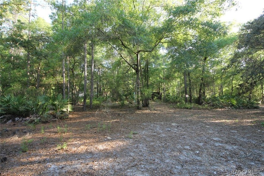Build your dream home on this beautiful .57-acre lot in - photo 6