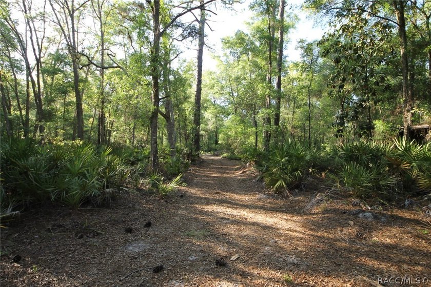 Build your dream home on this beautiful .57-acre lot in - photo 8