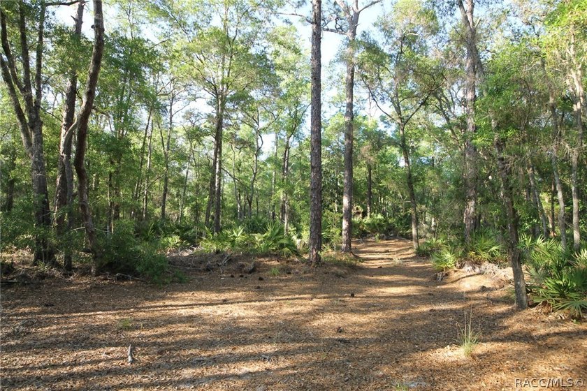 Build your dream home on this beautiful .57-acre lot in - photo 9