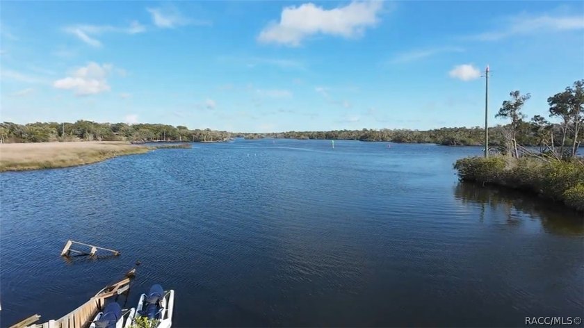 Homosassa Island Living on the Homosassa River - Your Escape to - photo 2