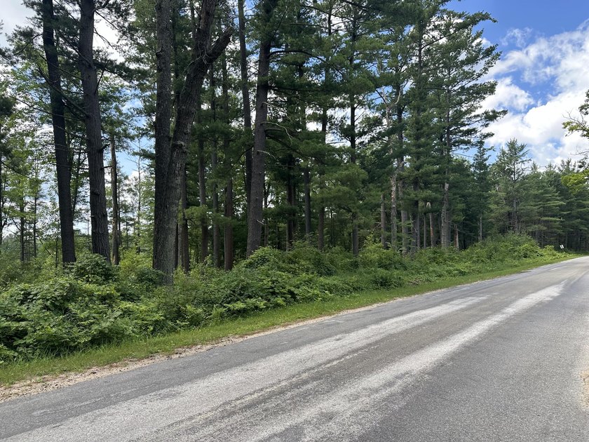 Rare acreage opportunity on quiet North Lake! This peninsula has - photo 12