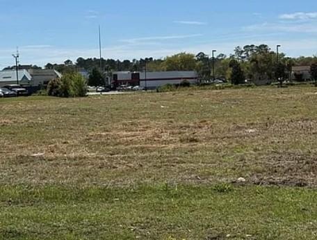 1.91-Acre Commercial Lot for Sale in Brunswick, GA - Zoned for - photo 3