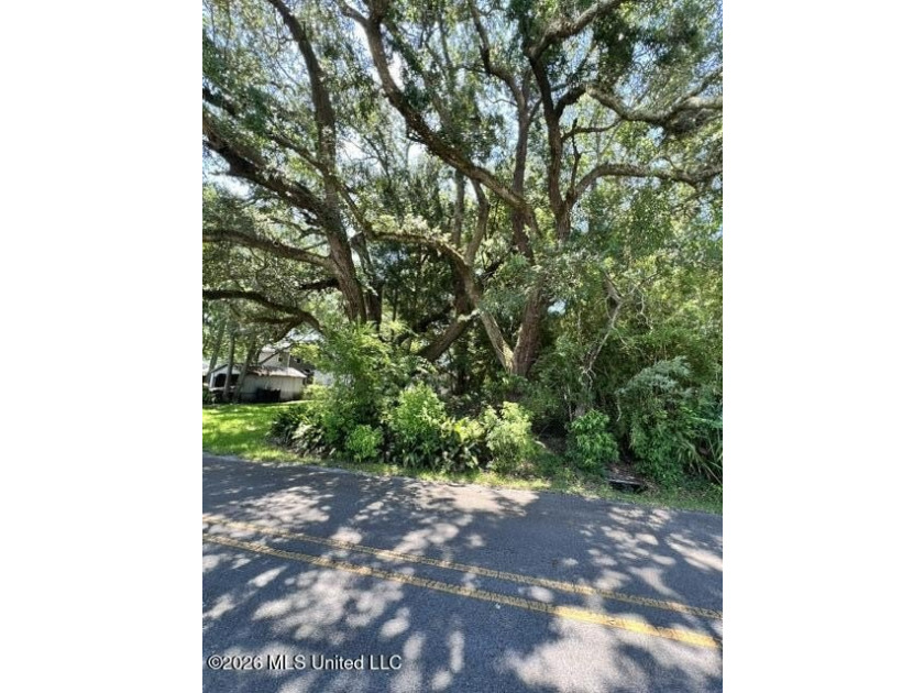 If you are desiring to build a home in a historical area of - photo 4