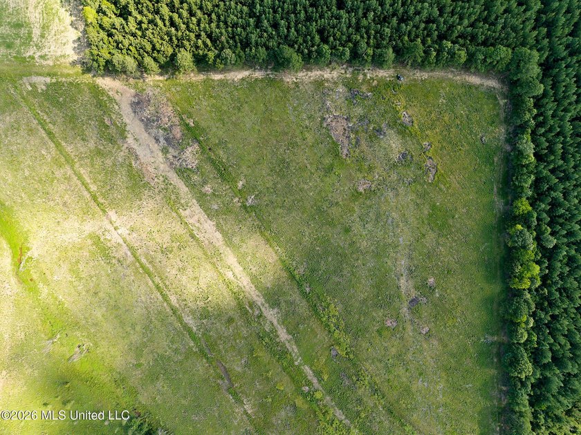 If you've been looking for a turnkey hunting, farming, or - photo 12