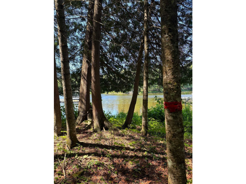 Great land opportunity with access to the magnificent Lac de la - photo 4