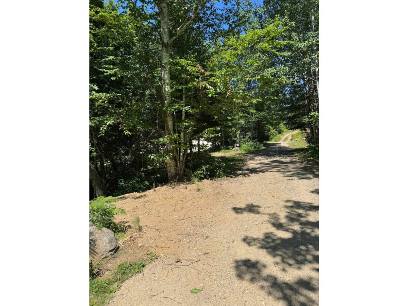 Great land opportunity with access to the magnificent Lac de la - photo 5