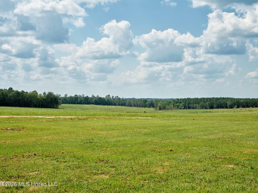 If you've been looking for a turnkey hunting, farming, or - photo 33