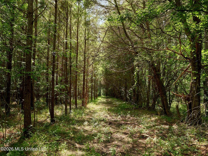 If you've been looking for a turnkey hunting, farming, or - photo 38
