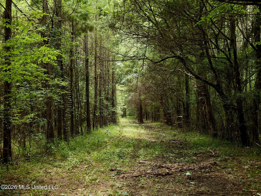 If you've been looking for a turnkey hunting, farming, or - photo 39