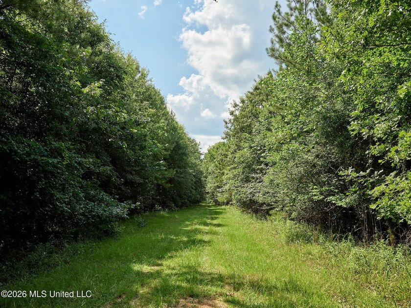 If you've been looking for a turnkey hunting, farming, or - photo 41