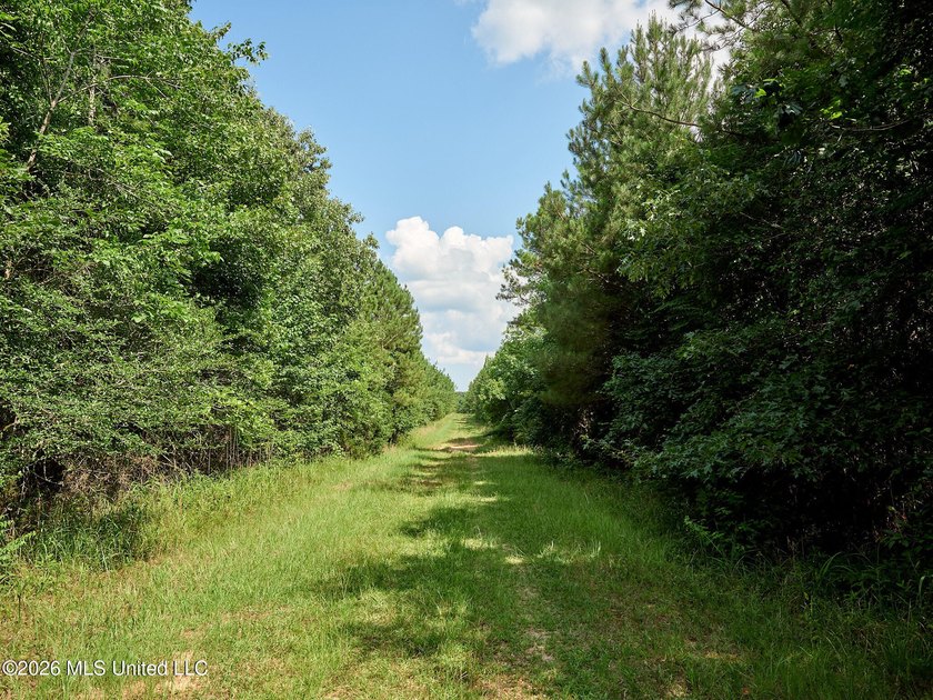 If you've been looking for a turnkey hunting, farming, or - photo 42