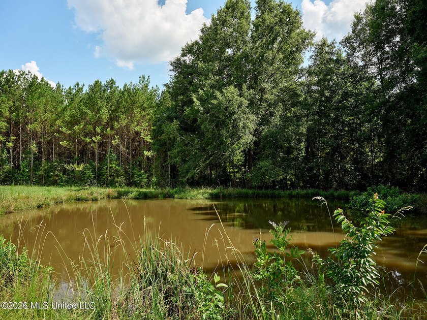 If you've been looking for a turnkey hunting, farming, or - photo 43